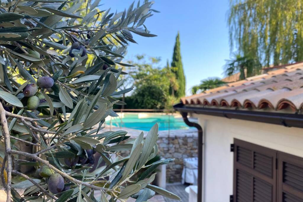 Relais San Sebastiano Villa Pietra Ligure Eksteriør bilde