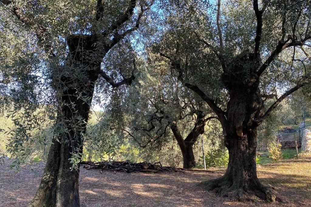 Relais San Sebastiano Villa Pietra Ligure Eksteriør bilde
